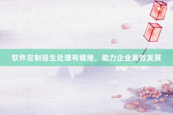 软件定制诞生处理有缱绻，助力企业高效发展