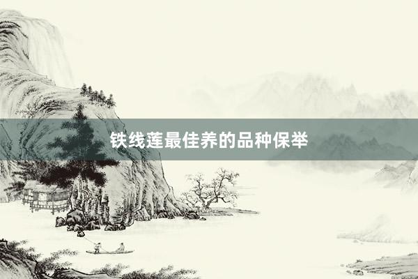 铁线莲最佳养的品种保举